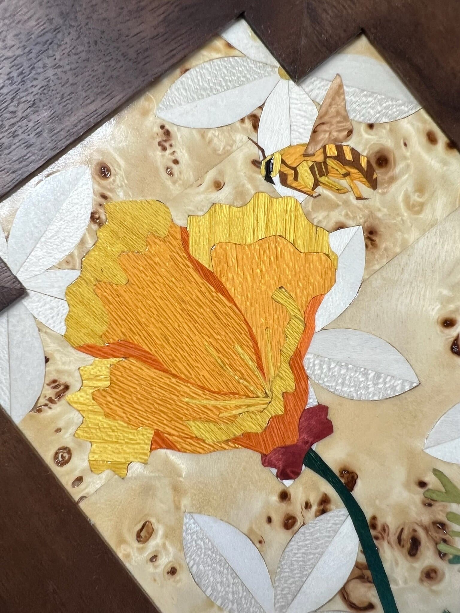 Close on the marquetry poppy, a bee above it among white petals