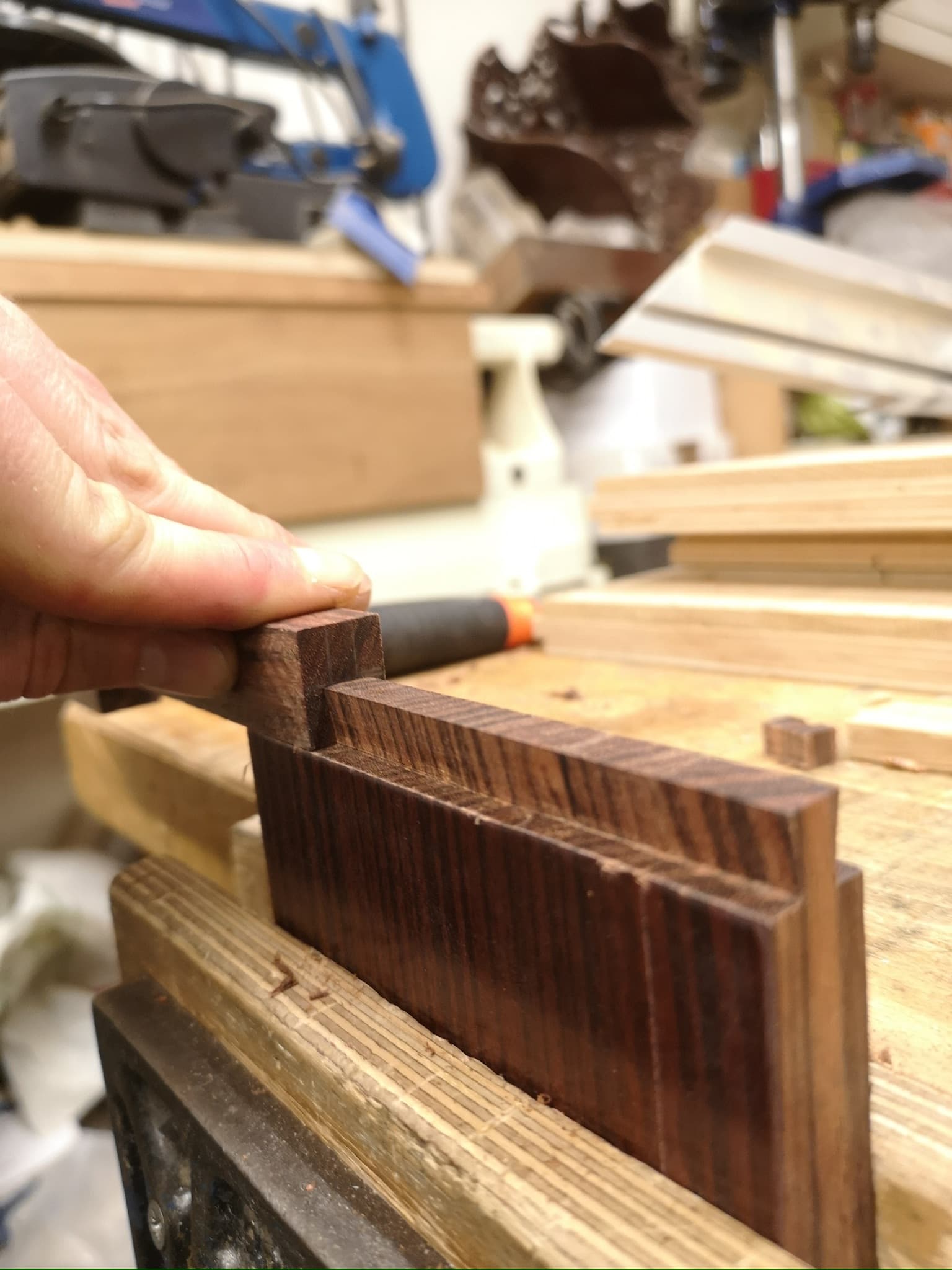 The comb blank held on the bench, its spine rebated